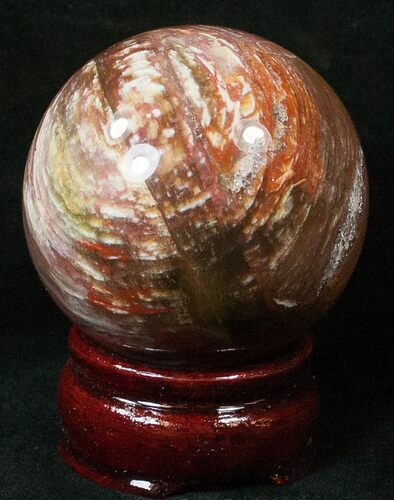 Colorful Petrified Wood Sphere #17828